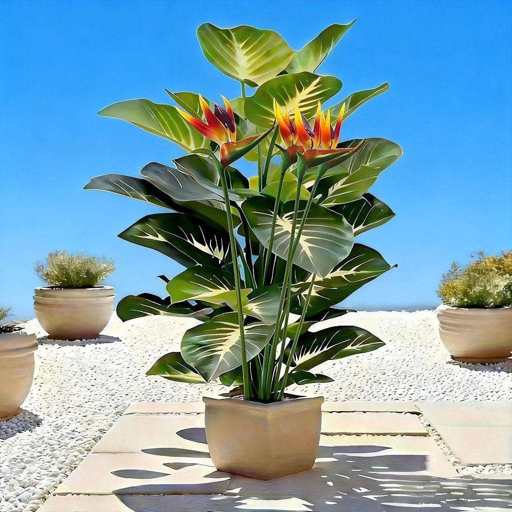 人工の極楽鳥花とポトスの植物、庭園、ショッピングセンター、ホ - Fiddle Leaf Fig のレビューと価格